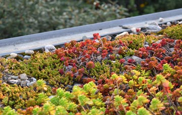 the cost of Stour Row green roof installation