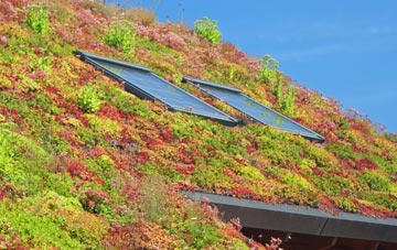 Stour Row living roof systems