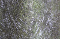 Stour Row fibreglass roof work